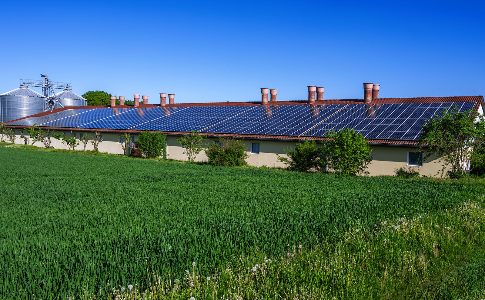 Landwirtschaftliches Stalldach mit PV-Anlage